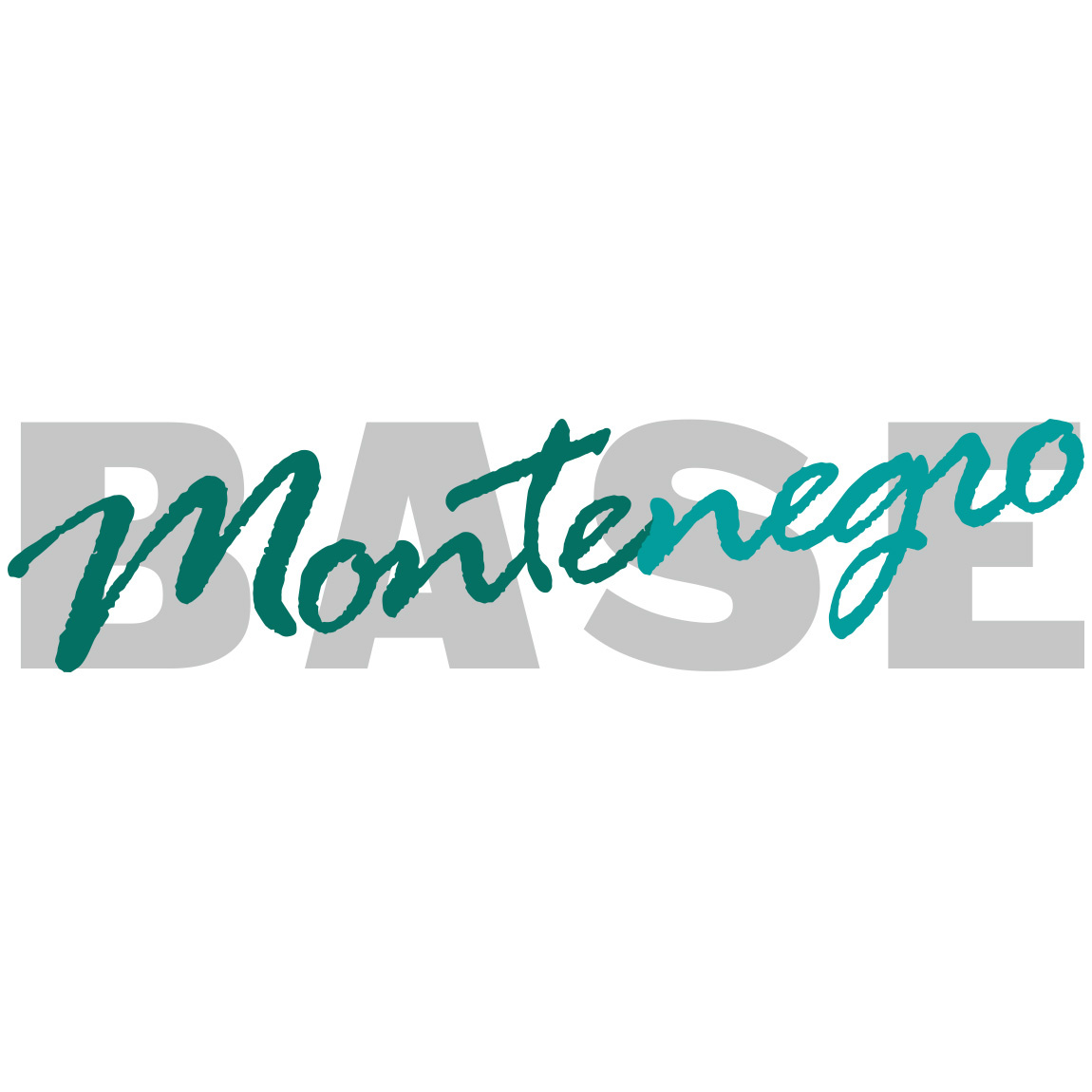 Агентство MonteBASE