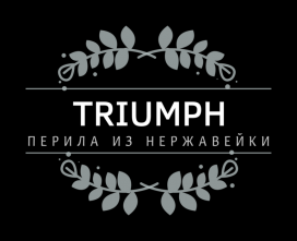 Triumph | Перила