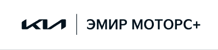 ООО “Эмир Моторс Плюс”