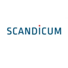 Scandicum. Мебель в скандинавском стиле