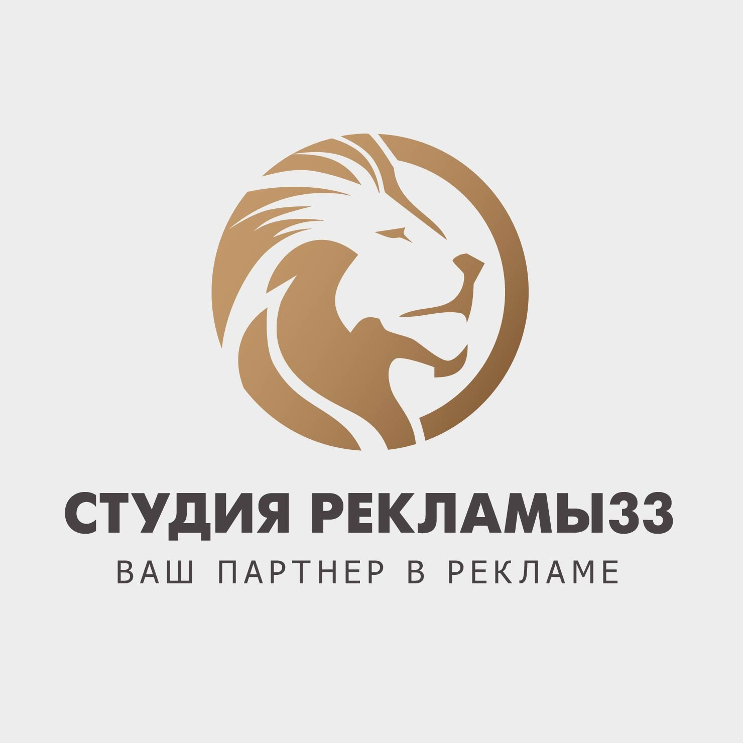 Студия рекламы-33